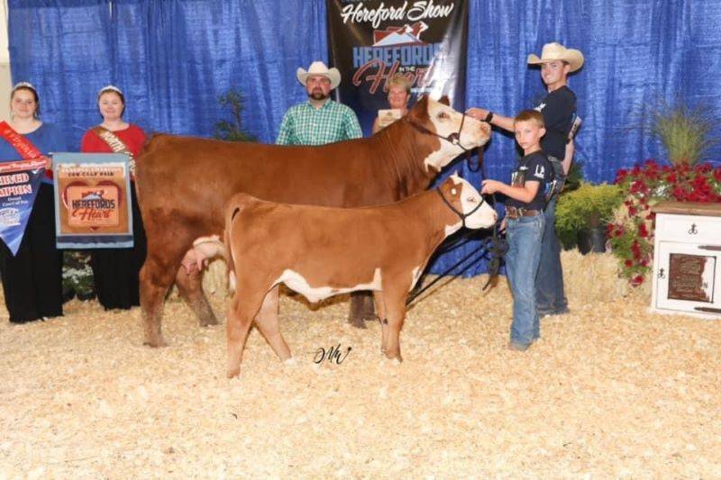 Reserve Champion Cow/Calf Pair